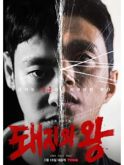 王牌对王牌综艺海报-桃子影视高清播放